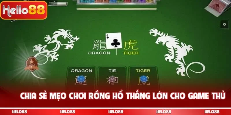 Chia sẻ mẹo chơi Dragon Tiger thắng lớn cho game thủ