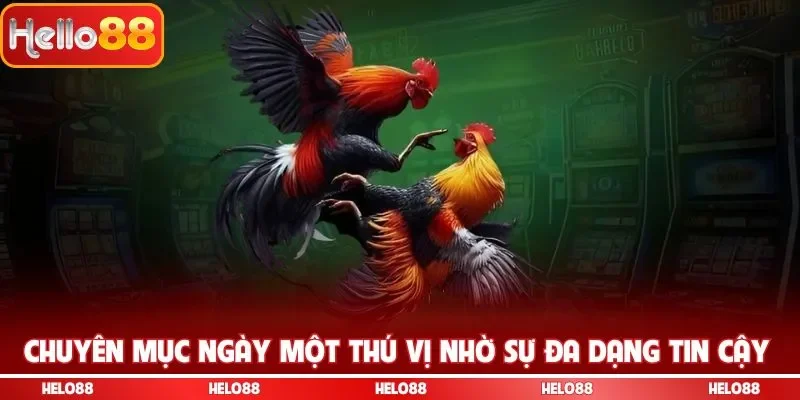 Chuyên mục ngày một thú vị nhờ sự đa dạng tin cậy