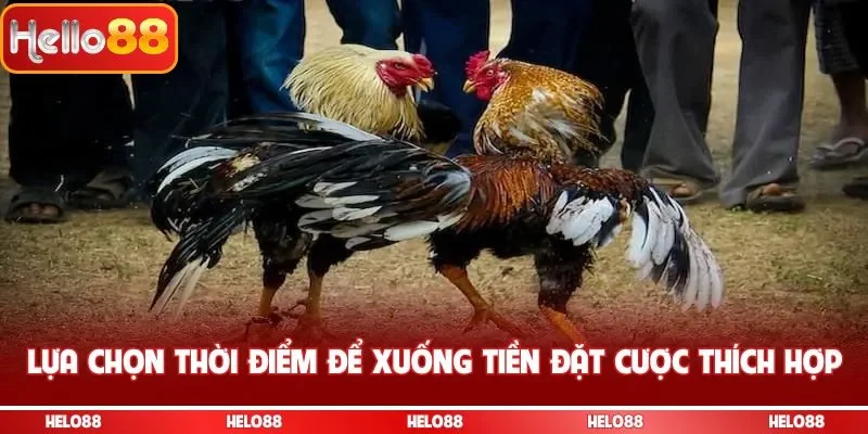 Lựa chọn thời điểm để xuống tiền đặt cược thích hợp