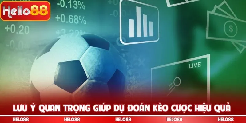 Lưu ý quan trọng giúp dự đoán kèo cược hiệu quả 