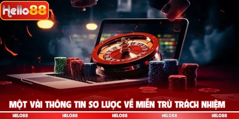 Một vài thông tin sơ lược về miễn trừ trách nhiệm