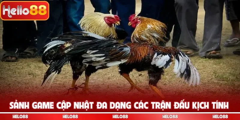 Sảnh game cập nhật đa dạng các trận đấu kịch tính