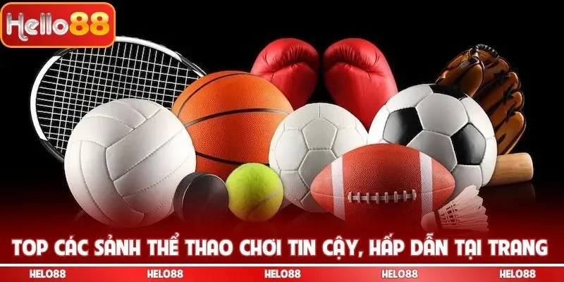 Top các sảnh thể thao chơi tin cậy, hấp dẫn tại trang