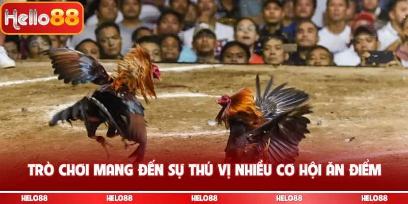 Trò chơi mang đến sự thú vị nhiều cơ hội ăn điểm